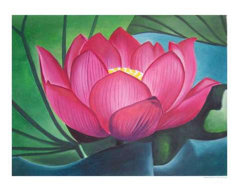 lotus healing